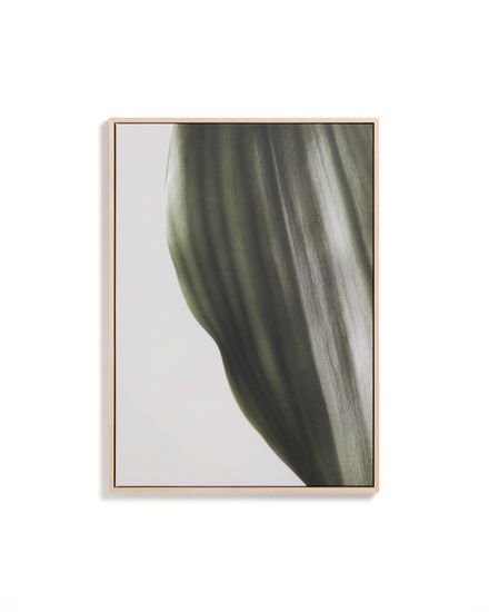 Фотография листа Foliae размер 52 x 72 см