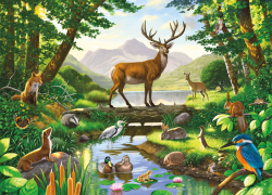 Коллекция Животные