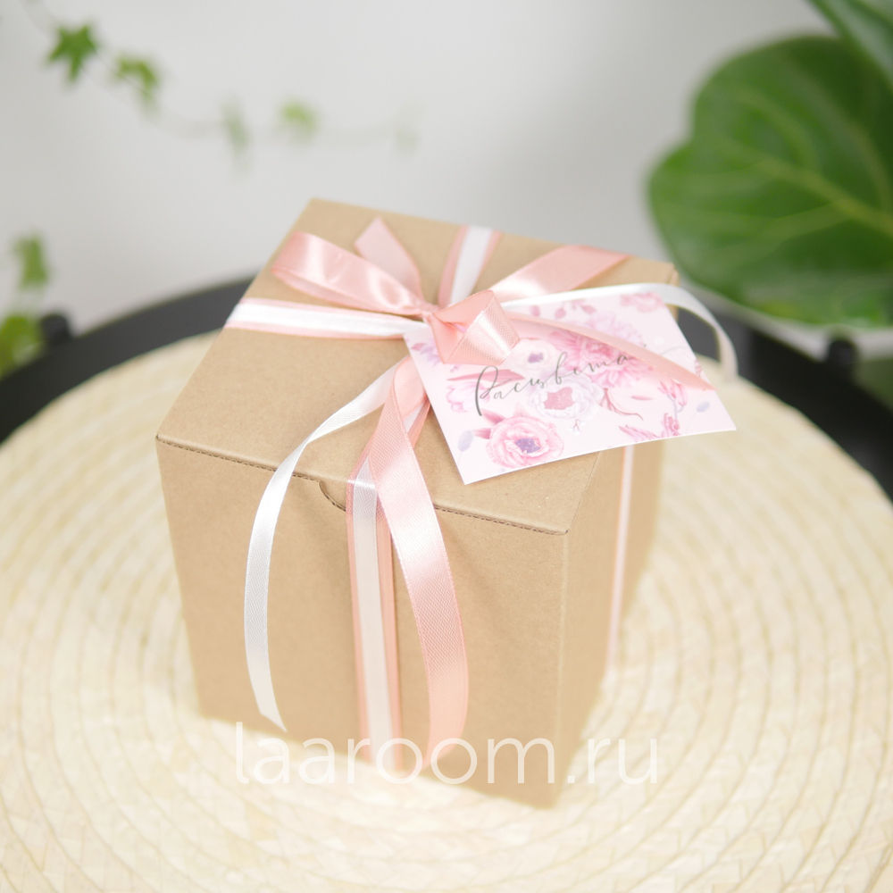 Суккулент в кашпо №3