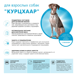 Корм сухой для взрослых собак породы Курцхаар, премиум полнорационный комплекс, с лососем, 2,5 кг, QUATTRO