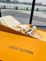 Louis Vuitton Skateboard