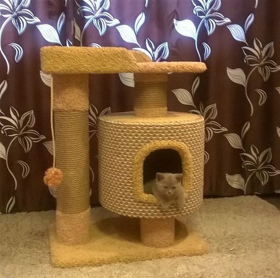 Дом для кота Д-6