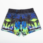 Купальные трусы для мальчика "Пляж", рост 86-92 (2) (MINAKU), 1 шт.