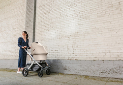 Коляска UPPAbaby Vista V2 2 в 1 Declan