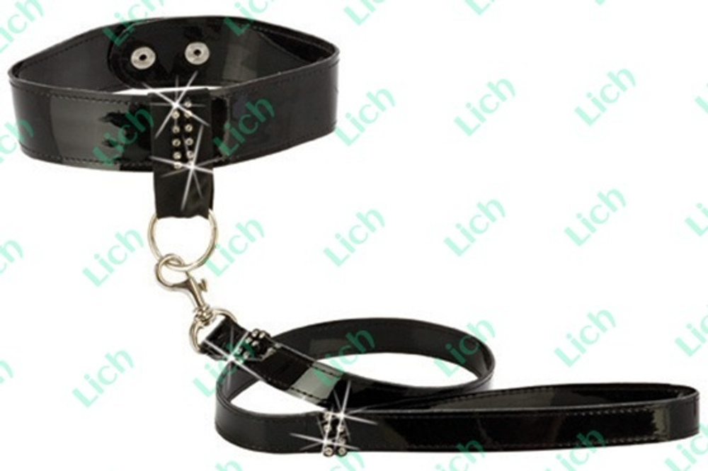Ошейник и поводок BOUND by DIAMONDS