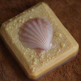 Ракушка-гребешок в песке пластиковая форма