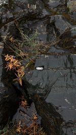 Кольцо Горы объёмные