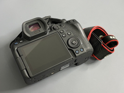 Canon EOS R6 Mark II 1000 кадров