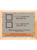 Рамка для постера и фотографий 29,7x42