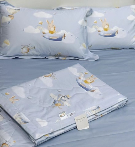 Детское постельное белье с одеялом Baby Flyboy