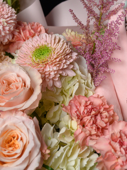 Просыпайся, зайка *