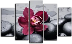 Модульная картина "Красная орхидея"