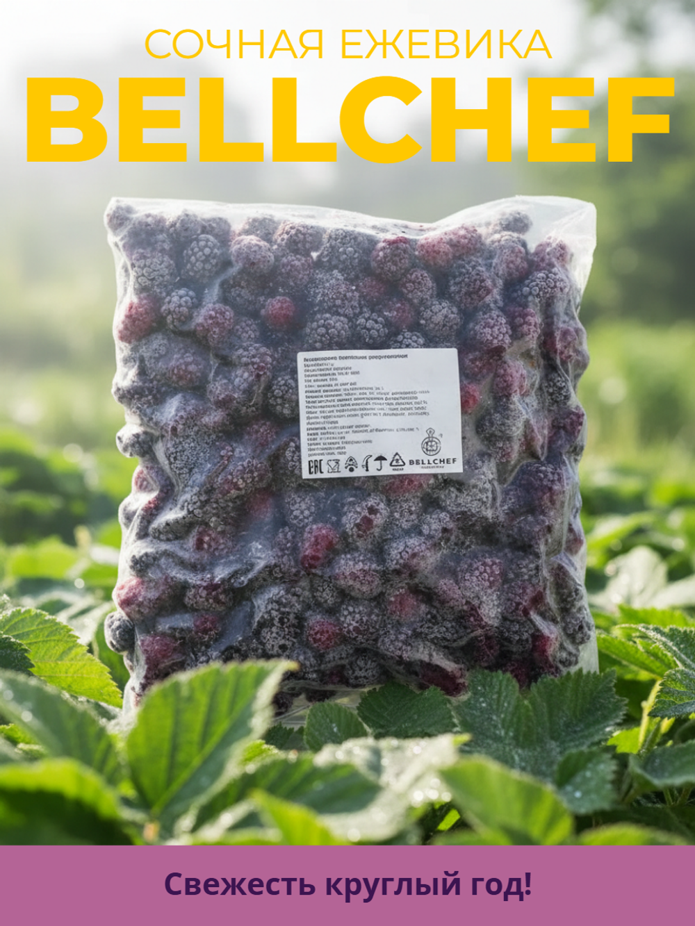 Ежевика "Bellсhef" 2,5 кг