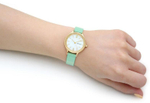 Женские наручные часы Skagen SKW2905