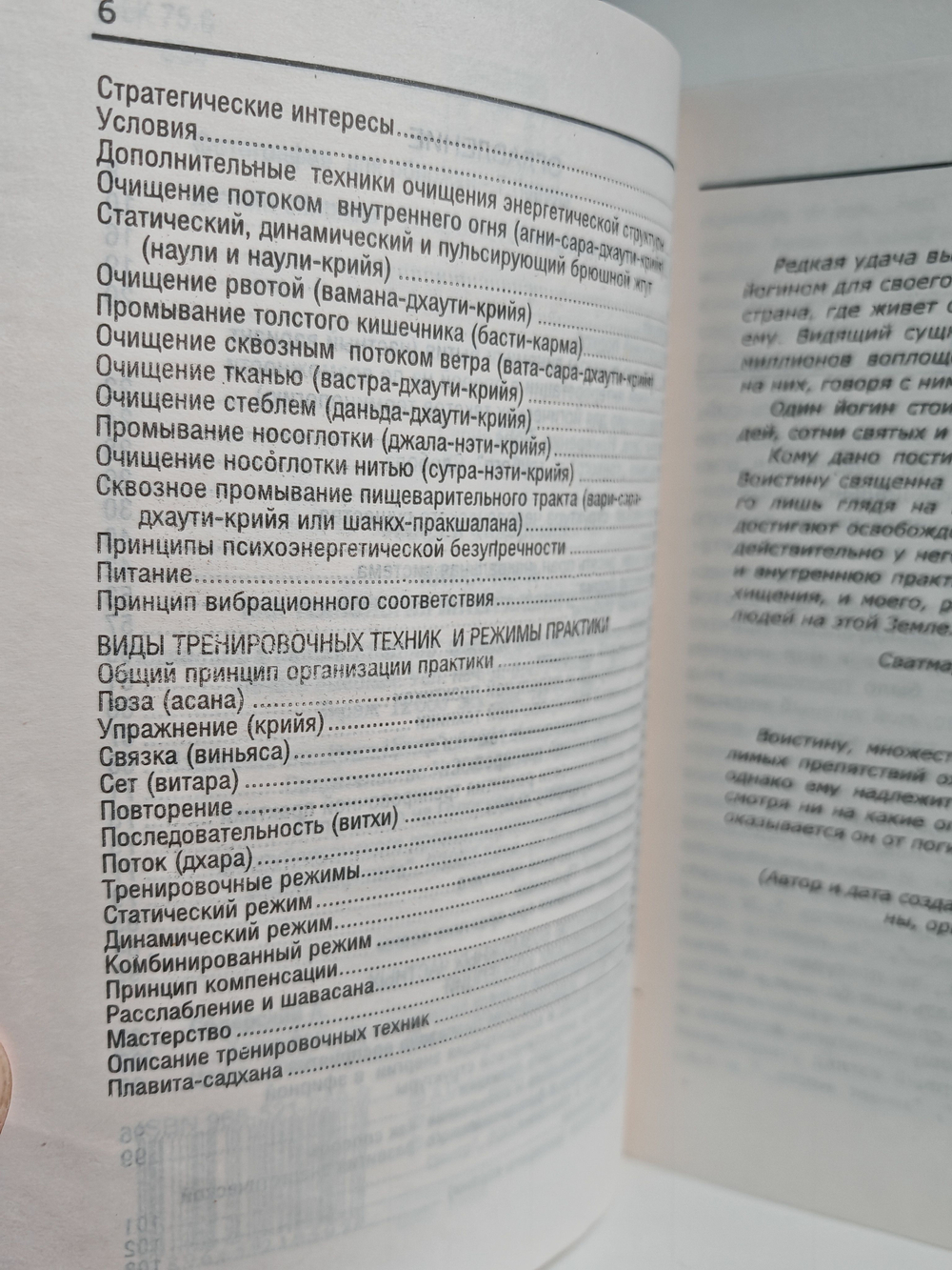 Хатха-йога как технология интегрального тренинга. Концептуальный очерк