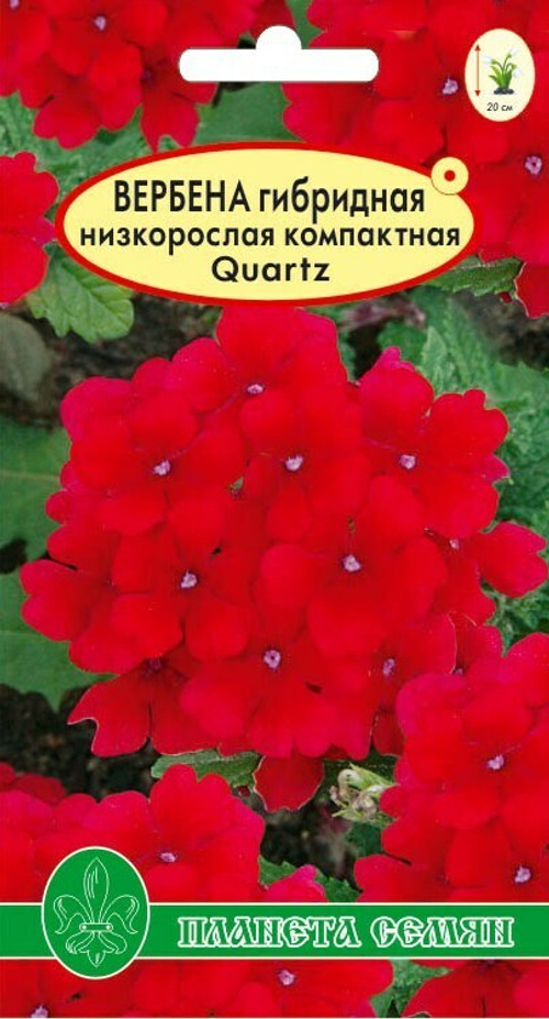 Вербена гибридная Кварц алая F1