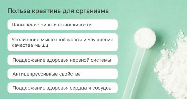 Нужна ли загрузка креатином: плюсы, минусы и современные исследования