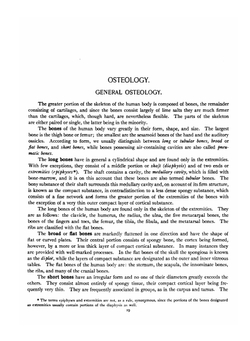 Atlas and Text-book of Human Anatomy. Volume 1 | Johannes Sobotta