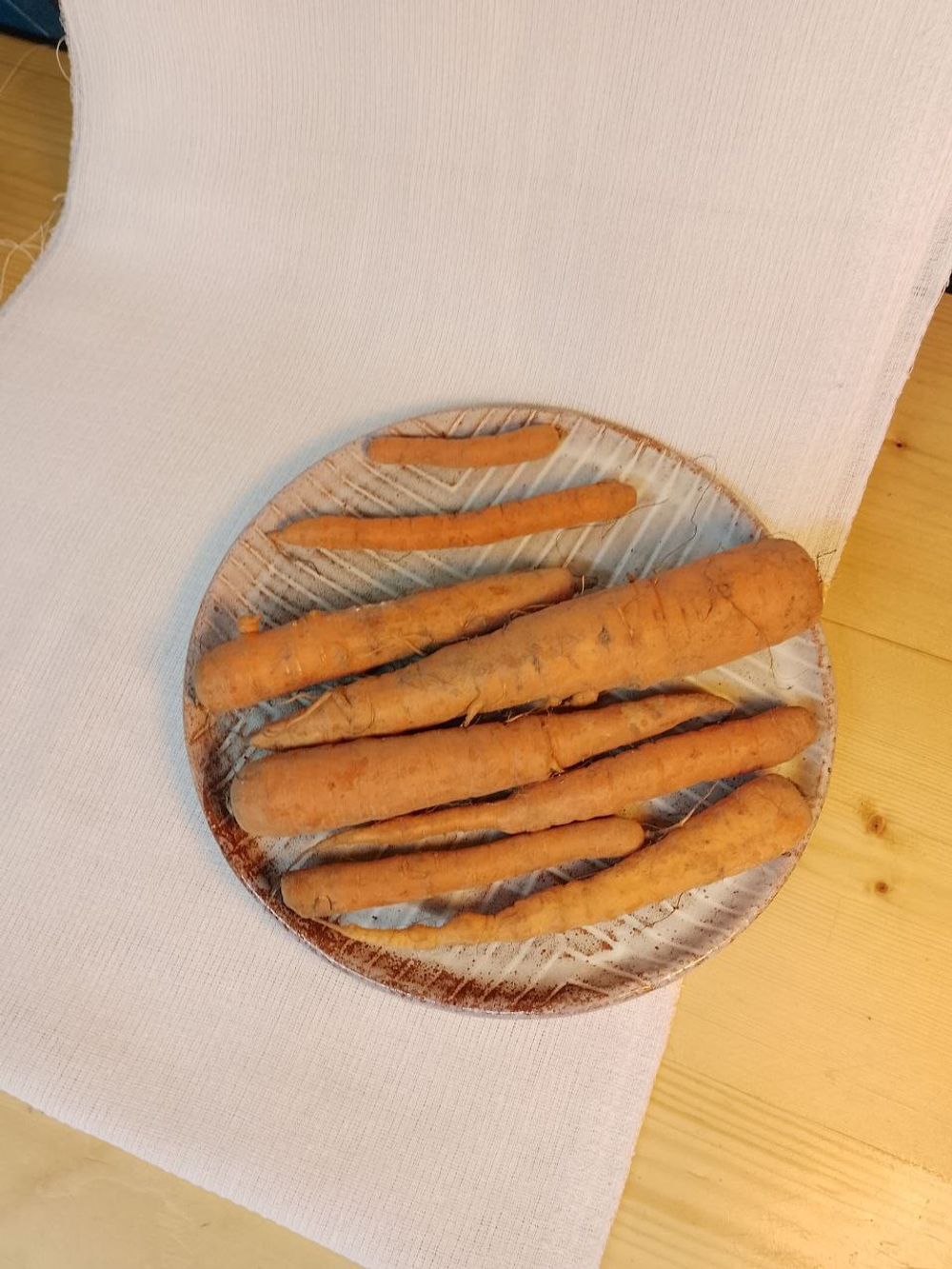 Морковь некондиционная