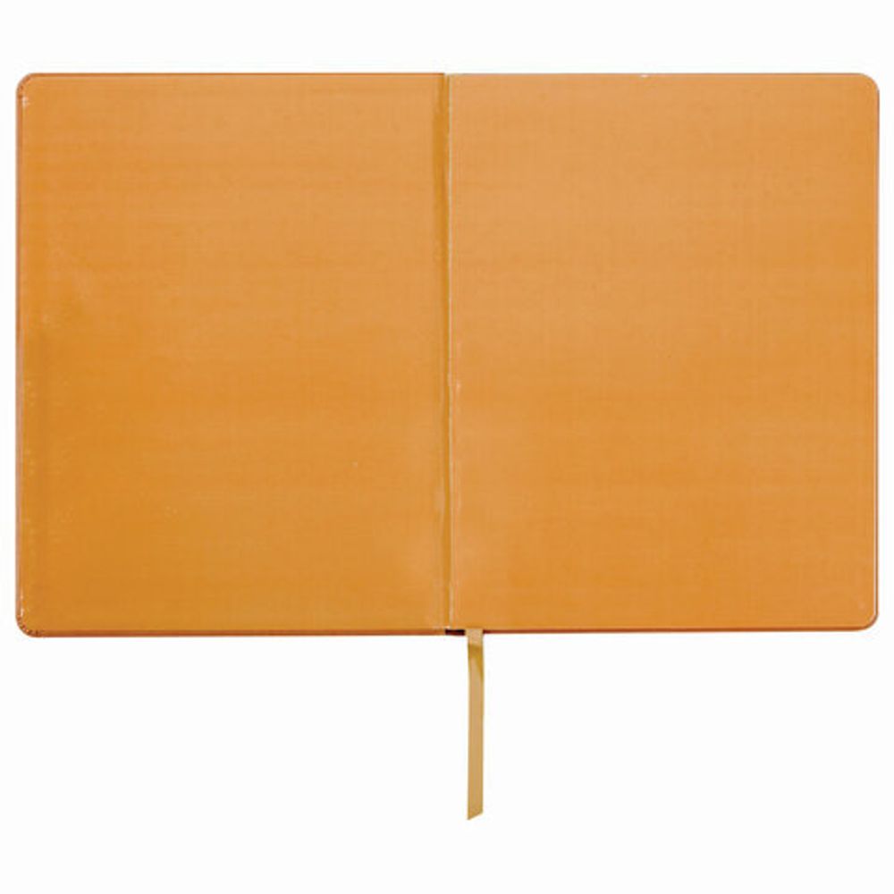 Дневник 1-4 класс 48 л., обложка кожзам (твердая), застежка, ЮНЛАНДИЯ, "СОВЕНОК", 105491