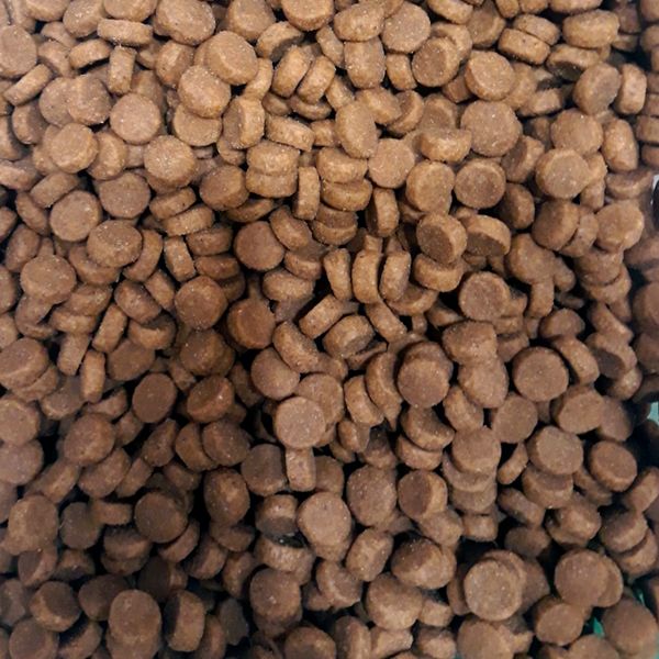 Сухой корм ProBalance Gourmet Diet для взрослых кошек с говядиной и кроликом