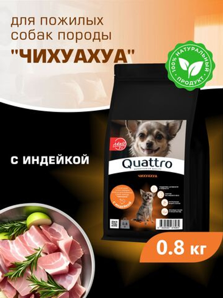 Корм сухой для пожилых собак породы Чихуахуа старше 7 лет, с индейкой, 800 гр, QUATTRO