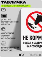 Табличка "Не кормить, лошади содержатся на особой диете" на дверь и забор, для конюшни, фермы, деревни, 40х30 см, Silver Plane x Айдентика Технолоджи