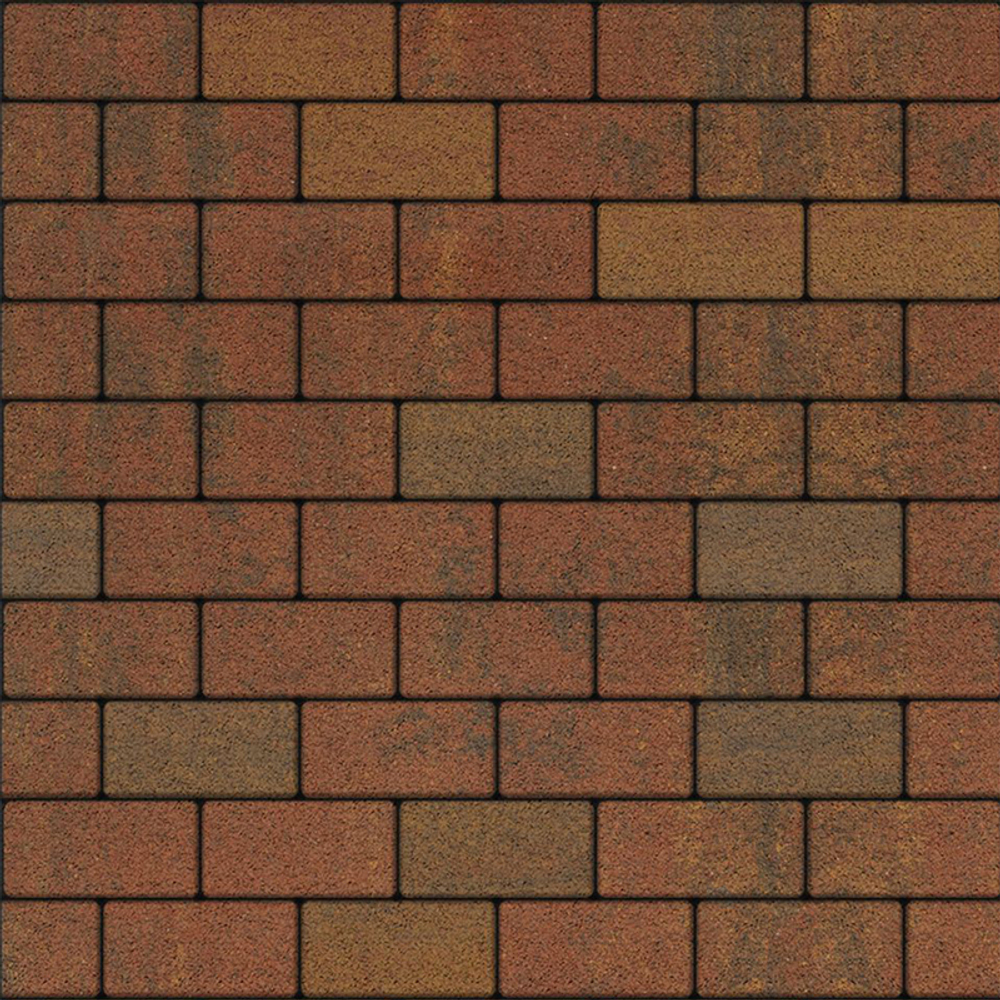 Тротуарная плитка ПРЯМОУГОЛЬНИК 200x100 мм - Листопад гранит Арабская ночь