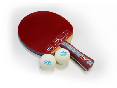 Ракетка для н/т Double Fish (1A+C серия)