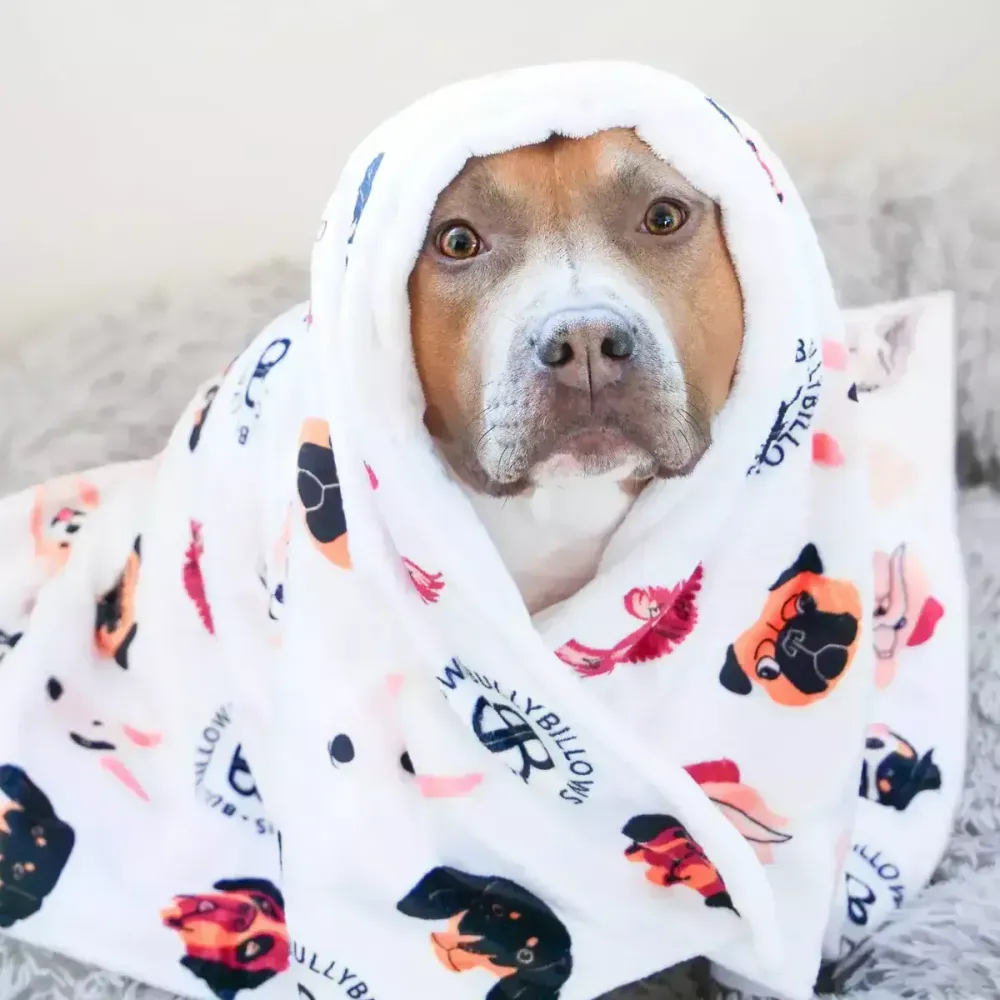 Покрывало для собак BullyBillows