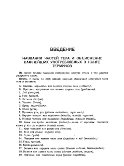 Полный определитель птиц СССР. Том 4. Воробьиные | С. А. Бутурлин