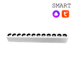 CLARUS SMART Магнитный ультратонкий трековый светильник AKCENT белый, 12W, 2700~6000K, 50 шт