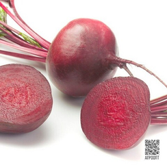 Цеппо F1 семена свеклы (Rijk Zwaan / Райк Цваан)