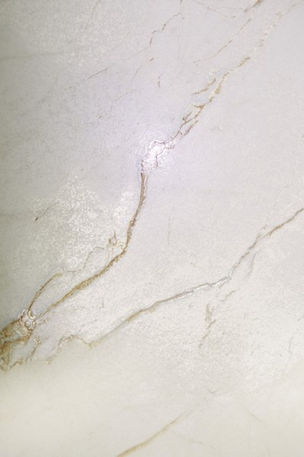 CEASAR LAPPATO CL4001-A