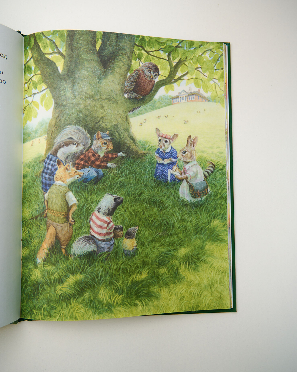 Комплект «Хиты Clever», 2 книги