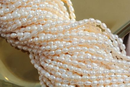 Жемчуг натуральный, рис, 3,6-3,8мм, 2А