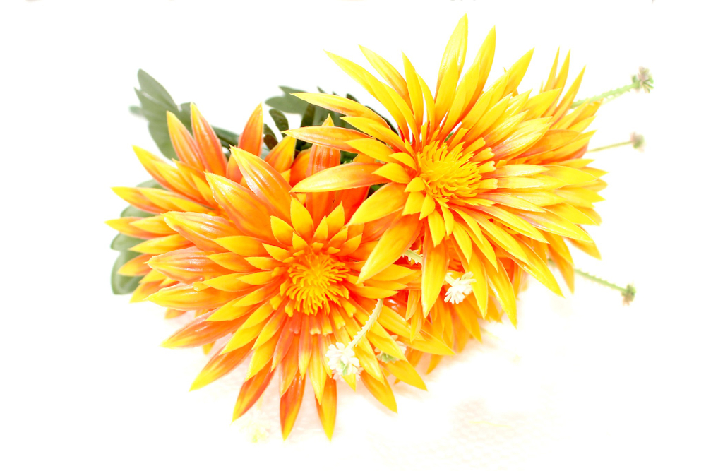 Букет Астры пластик