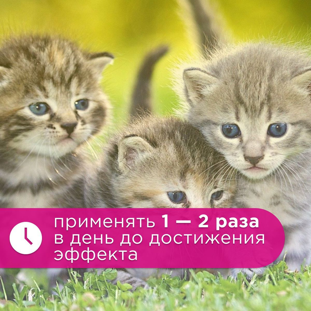 Спрей Brizberry ( Бризберри ) от Apicenna, Защита мест, не предназначенных для туалета кошек, 250 мл
