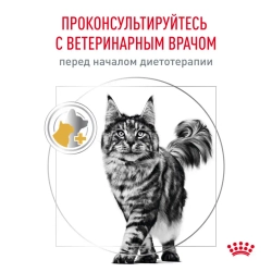 Royal canin urinary s/o moderate calorie сухой диетический корм для взрослых кошек, предрасположенных к набору веса, при мочекаменной болезни - 1,5 кг