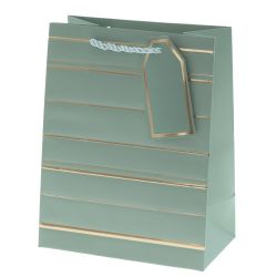 GAEM Пакет подарочный S (бумага 210г/м2, блок 12шт), L18 W10 H23 см, 10в.