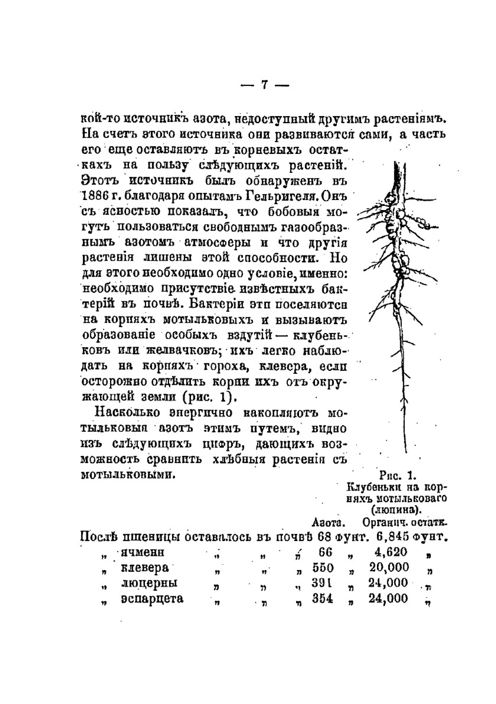 Кормовые травы | Д.Н. Прянишников