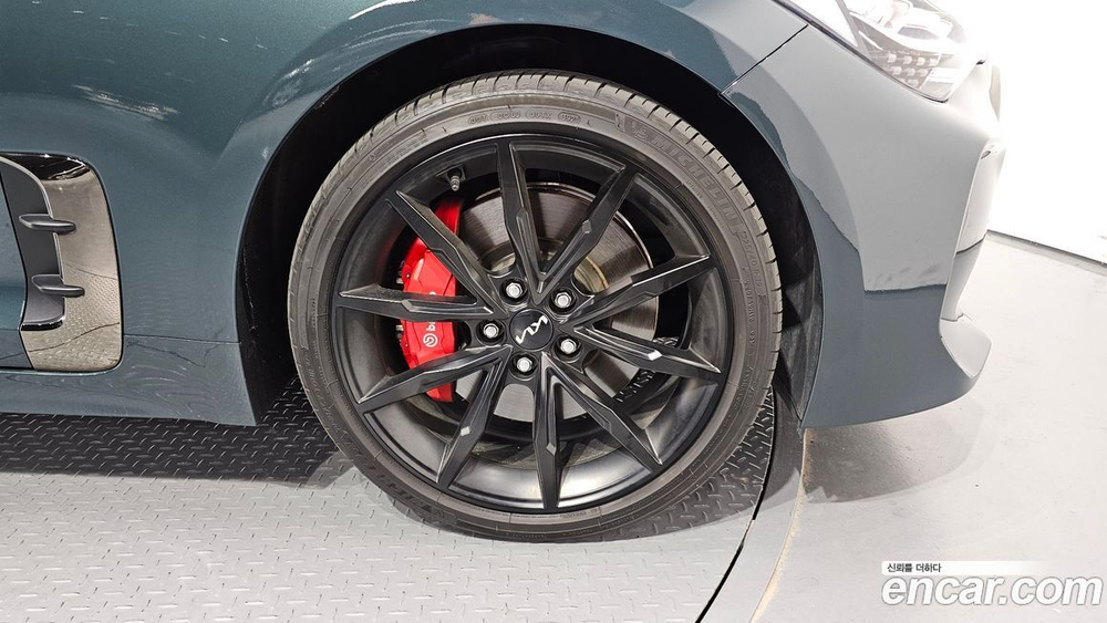 Kia Stinger Meister 2.5 MASTER 아크로 Editions (04.2022)