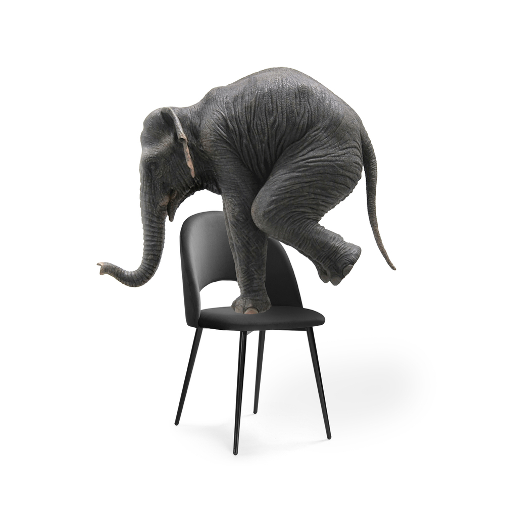 Стул на металлокаркасе Woodville Ирре графитовый, черный глянец, ножки черные