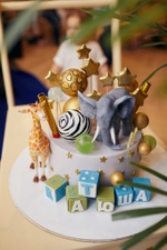 Cute Safari Party