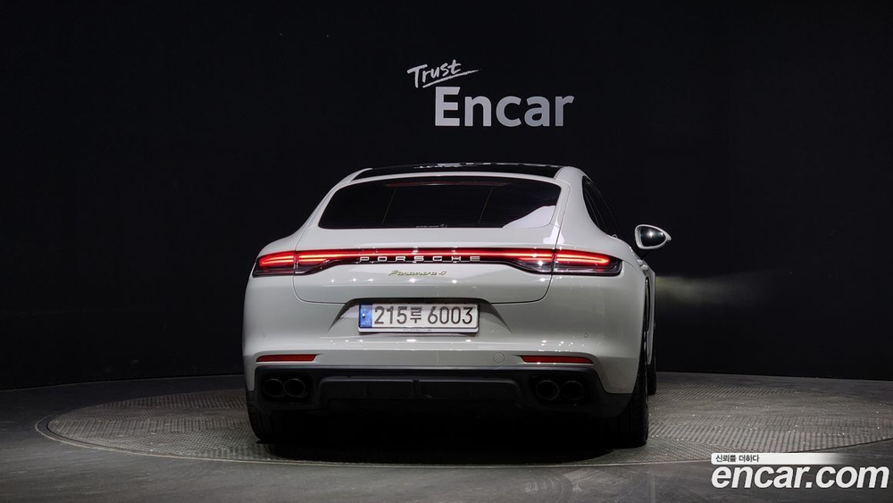 Porsche Panamera (971) 2.9 AWD E-Hybrid Platinum Editions (12.2022)