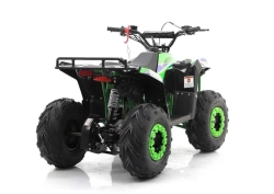 Квадроцикл MOTAX GRIZLIK A110