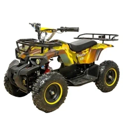 Электроквадроцикл Avantis CLASSIC E 800W NEW
