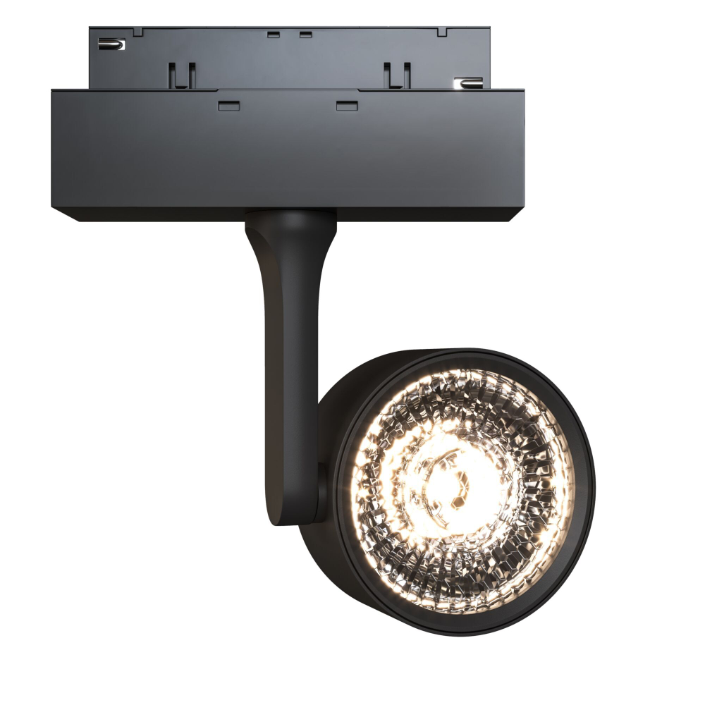 Трековый светильник Maytoni Technical TR024-2-10B3K