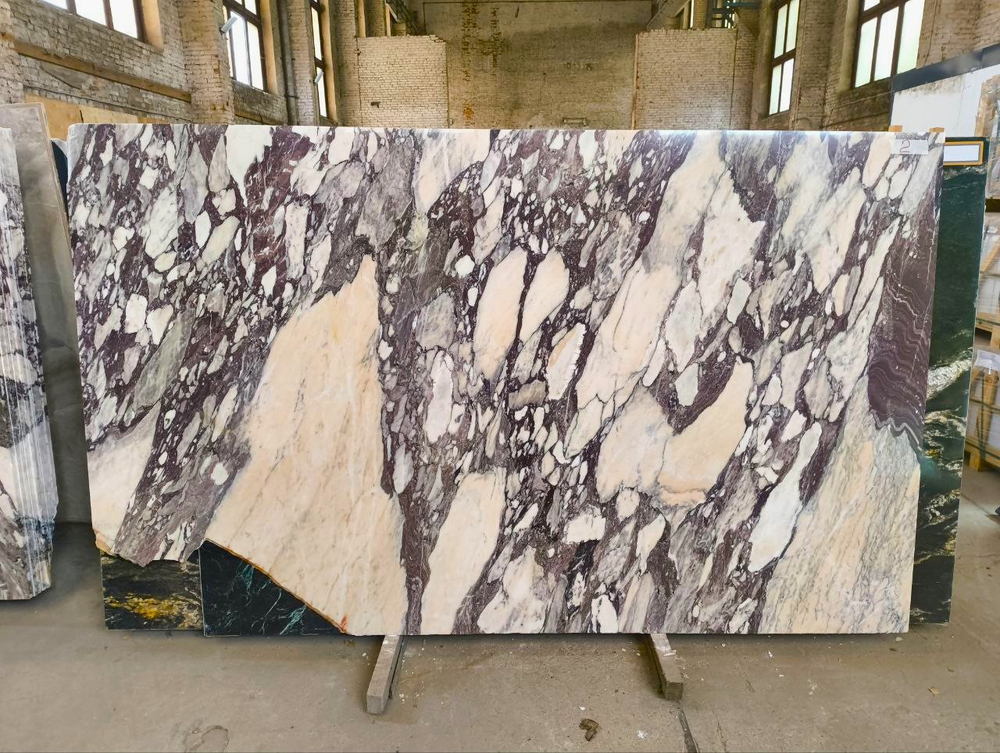 Каллаката Виола