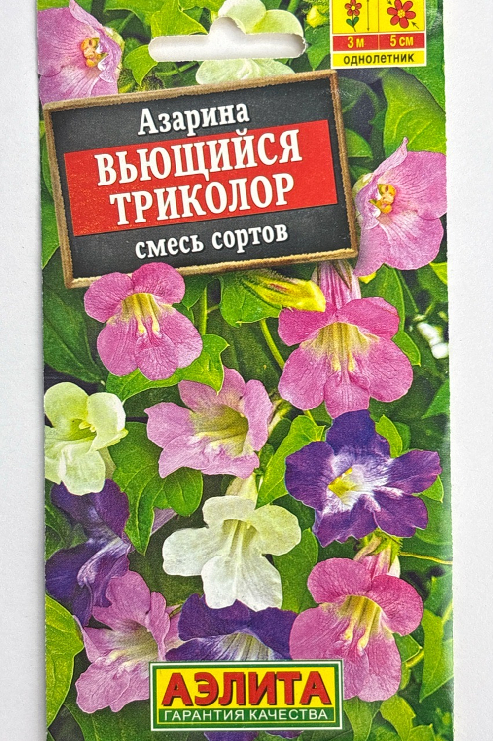 Азарина Вьющийся триколор, смесь сортов СМЦ-933